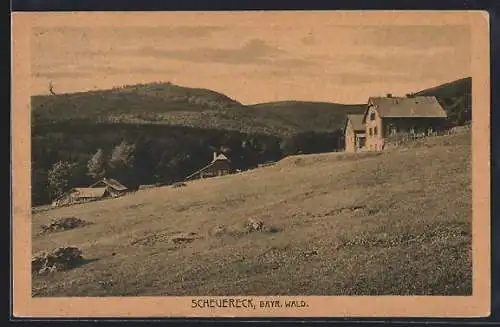 AK Scheuereck /Bayr. Wald, Ortspartie