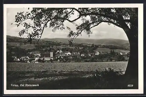 AK Vorau /Ost Steiermark, Teilansicht mit Kirche und Baum