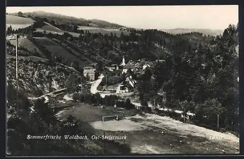 AK Waldbach /Ost-Steiermark, Teilansicht mit Strassenpartie