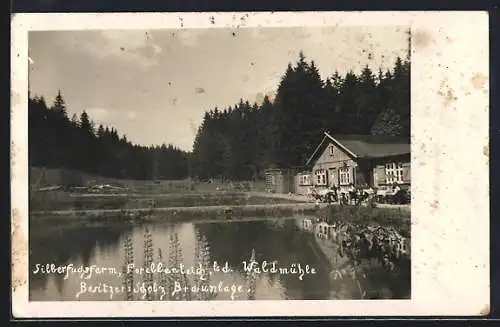 AK Waldmühle / Braunlage, Gasthaus Silberfuchsfarm mit Forellenteich