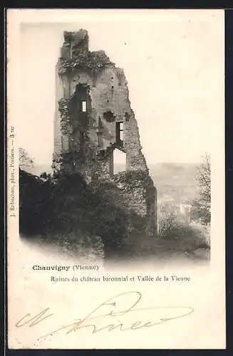 AK Chauvigny, Ruines du château baronnial et Vallée de la Vienne