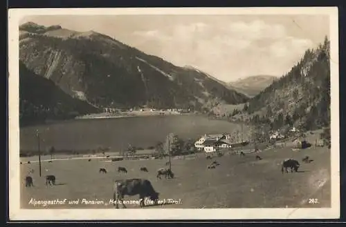AK Nesselwängle, Haller, Alpengasthof und Pension Haldensee