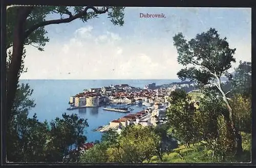 AK Dubrovnik, Panorama