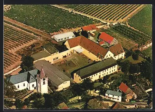 AK Bockenheim / Weinstrasse, Schlossgut Janson aus der Vogelschau