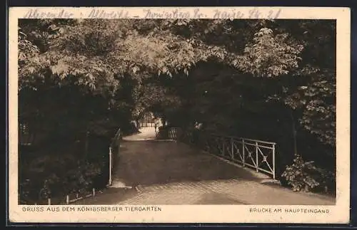 AK Königsberg /Pr., Tiergarten, Brücke am Haupteingang