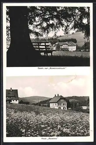 AK Hinterzarten, Gasthaus zur Ravennaschlucht und Haus Ravenna