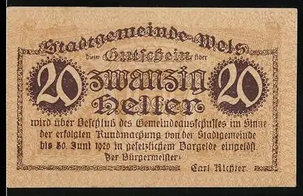 Notgeld Wels 1920, 20 Heller, Schlossansicht und Wappen der Stadtgemeinde