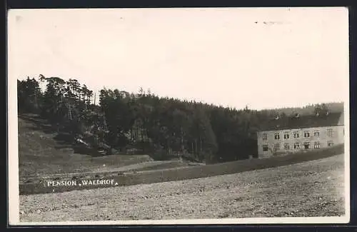 AK Atzenbrugg, Familien-Pension Waldhof am Waldrand