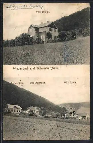 AK Winzendorf a. d. Schneebergbahn, Villa Sukfüll, Marien-Villa mit Villa Hörmann und Villa Bablik