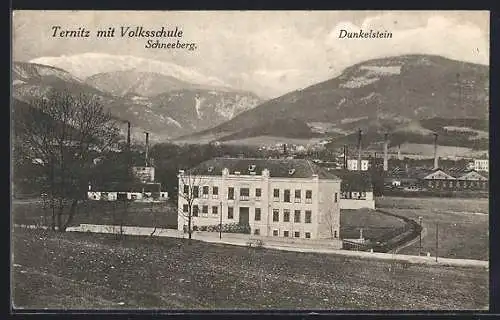 AK Ternitz, Teilansicht mit Volksschule, Schneeberg und Dunkelstein