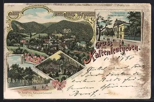 Lithographie Kaltenleutgeben, Prof. Winternitz`sche und Dr. Emmel`sche Kaltwasser-Heilanstalten, Schiessstätte