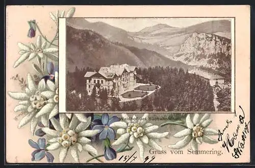 AK Semmering, Waldhof des Südbahnhotels, Edelweiss-Passepartout