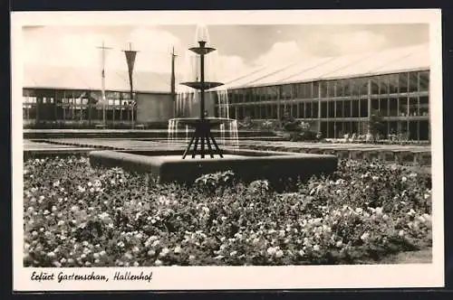 AK Erfurt, Gartenschau 1950, Hallenhof mit Brunnen und Blumenbeeten