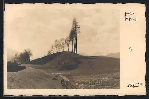 Foto-AK Adalbert Defner: Zarter Frühling in den Bergen