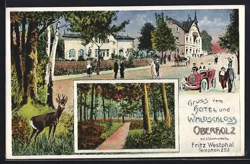 AK Liebertwolkwitz, am Hotel und Waldschloss