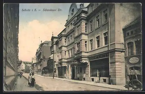 AK Sebnitz i. S., Geschäfte an der Schandauer Strasse