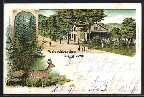 Lithographie Zittau, Gasthof Waldschlösschen Eichgraben