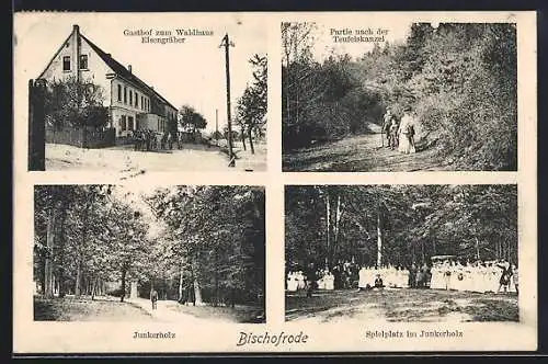 AK Bischofrode, Gasthof zum Waldhaus Eisengräber, Partie nach der Teufelskanzel, Spielplatz im Junkerholz