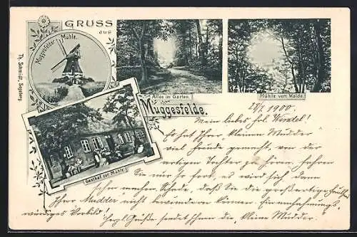 AK Muggesfelde, Gasthof zur Mühle, Muggesfelder Windmühle, Allée im Garten