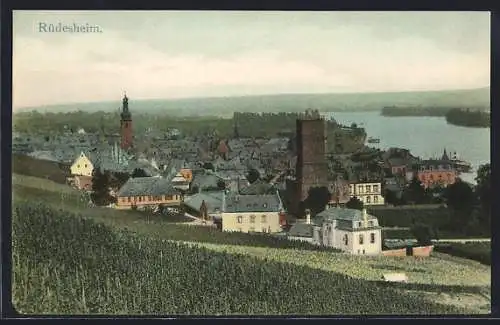 AK Rüdesheim / Rhein, Ansicht vom Feld aus