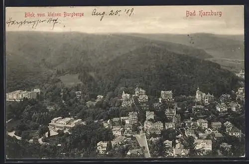 AK Bad Harzburg, Blick vom kleinen Burgberge