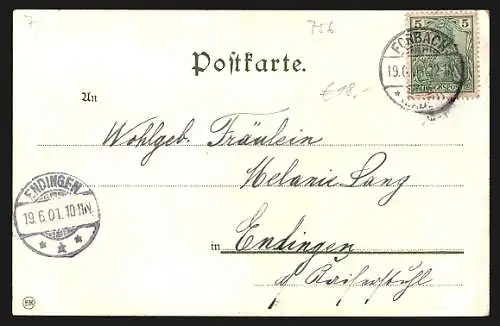 AK Forbach, Ortsansicht aus der Vogelschau, Jugendstil-Passepartout mit Schwan