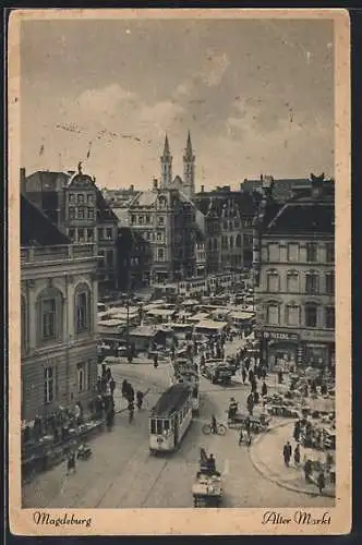 AK Magdeburg, Strassenbahn am alten Markt