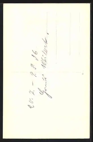 AK Wildemann, Wohnhaus am Waldrand, Ornamente