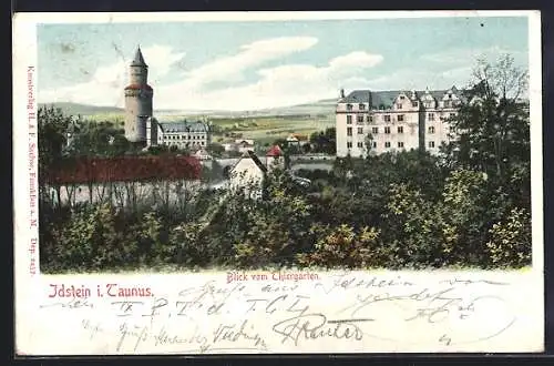 AK Idstein i. Taunus, Blick vom Thiergarten