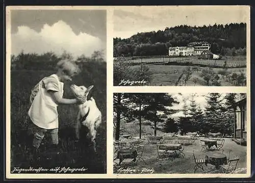 AK Sieg, Blick auf Erholungsheim Hohegrete, Kind mit Ziege