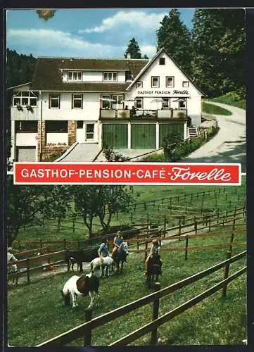 AK Forbach-Hundsbach im Schwarzwald, Pension Cafe Forelle, Ponyhof