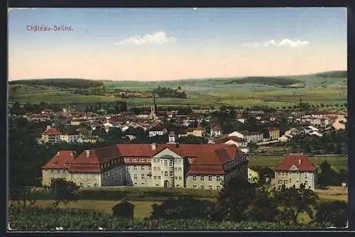 AK Chateau-Salins, Ortsansicht mit Schloss im Vordergrund