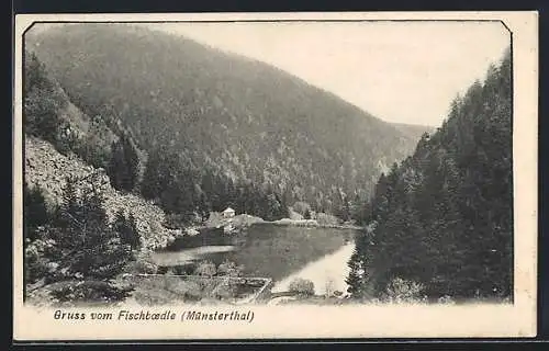 AK Fischboedle, Haus am See im Münstertal