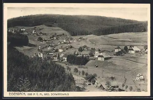 AK Eisenbach / Schwarzwald, Ortsansicht