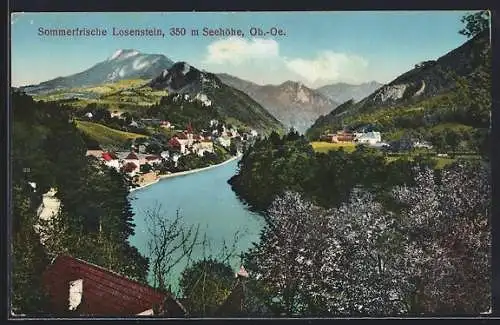 AK Losenstein, Panorama mit Umland