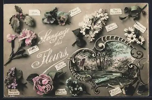 AK Language des Fleurs, Blumen mit Bedeutung und Ansicht eines Baches