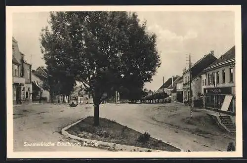 AK Ernstbrunn, Strassenansicht mit Baum und Geschäften