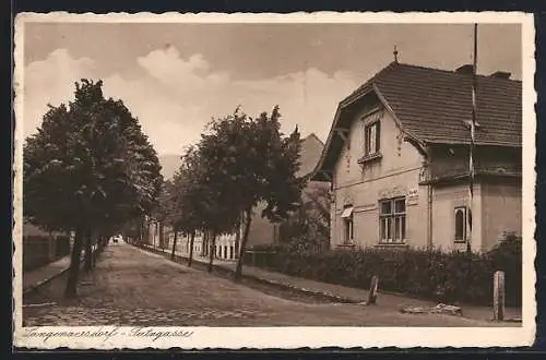 AK Langenzersdorf, Tutzgasse mit Bäumen