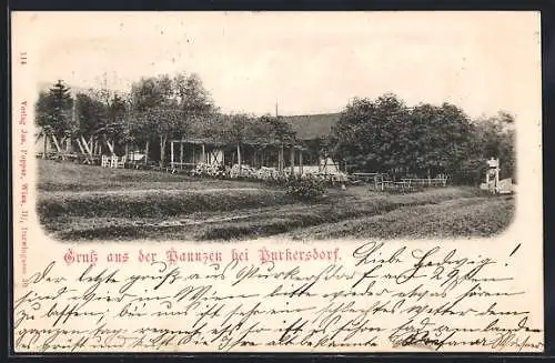 AK Purkersdorf, Gasthaus Paunzen, Panorama mit Garten