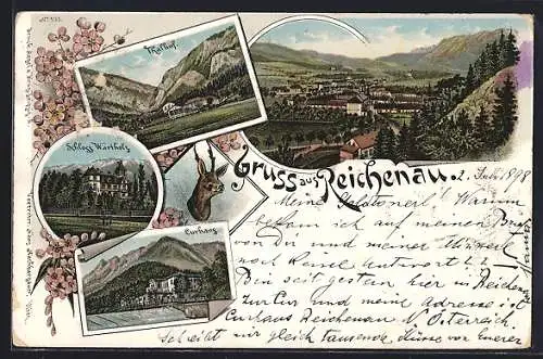 Lithographie Reichenau an der Rax, Schloss Wartholz, Curhaus, Thalhof