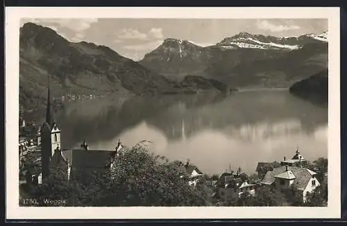 AK Weggis, Ortsansicht mit See und Bergpanorama