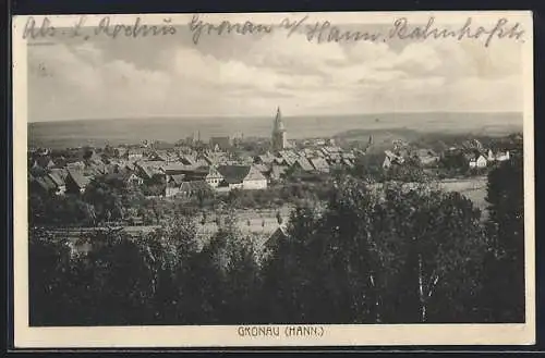 AK Gronau /Hann., Ortsansicht aus der Vogelschau