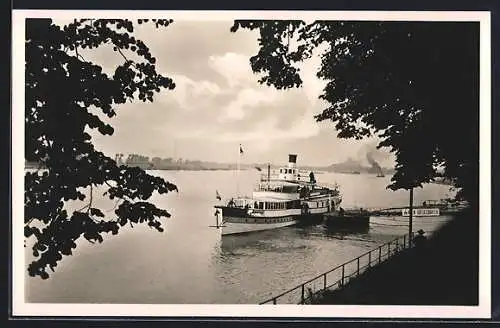 AK D.-Kaiserswerth, Blick vom Burgwall auf den Rhein mit Dampfer