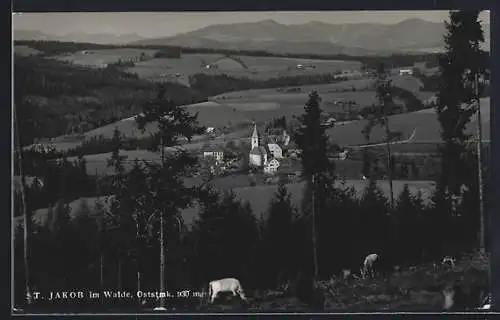 AK St. Jakob im Walde, Panorama mit Kirche und weidenden Kühen