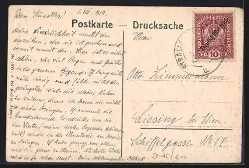 AK Strallegg, Panoramaansicht