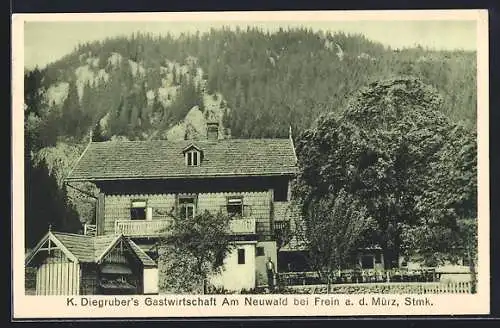 AK Frein a. d. Mürz, K. Diegruber`s Gasthaus Am Neuwald