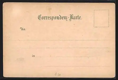 Lithographie Hieflau, Gesamtansicht, Die Noth, Scheibentunnel