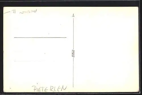 Foto-AK Pieterlen, Blaskapelle, Mitglieder mit Tuben und Hörnern