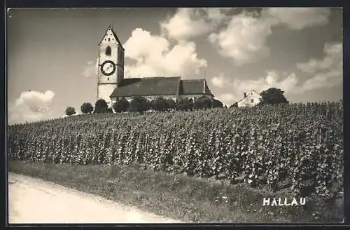 AK Hallau, Weinberg an der Kirche