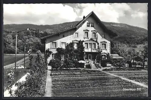 AK Oberbipp /Be., Pension Friedheim, Bes. Fam. Hippenmeyer